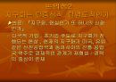 지구화(세계화)의 의미와 필연성에 대한 논의와 대응방안 PPT 12페이지