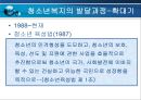 청소년복지정책의 현황과 문제점 및 과제와 발전방안 PPT자료 11페이지