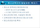 청소년복지정책의 현황과 문제점 및 과제와 발전방안 PPT자료 12페이지