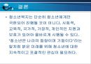 청소년복지정책의 현황과 문제점 및 과제와 발전방안 PPT자료 20페이지