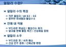 처음처럼의 마케팅전략 및 광고 분석 9페이지