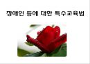 특수아동과특수교육 30페이지