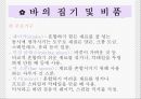 칵테일 (Cocktail, 칵테일 종류, 추천 칵테일,칵테일 분류) 25페이지