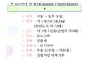 이집트 VS 러시아 비교 (이집트,러시아,이집트 음식,러시아 문화, 이집트 문화,이집트 주거,러시아 주거) 3페이지