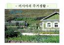 이집트 VS 러시아 비교 (이집트,러시아,이집트 음식,러시아 문화, 이집트 문화,이집트 주거,러시아 주거) 18페이지