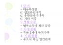 이집트 VS 러시아 비교 (이집트,러시아,이집트 음식,러시아 문화, 이집트 문화,이집트 주거,러시아 주거) 39페이지