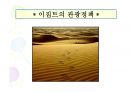 이집트 VS 러시아 비교 (이집트,러시아,이집트 음식,러시아 문화, 이집트 문화,이집트 주거,러시아 주거) 48페이지