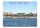 이집트 VS 러시아 비교 (이집트,러시아,이집트 음식,러시아 문화, 이집트 문화,이집트 주거,러시아 주거) 82페이지