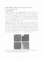  개발대상 기술(TiO2계 광촉매 특징), 국내외 개발 동향 & 개발대상 관련기술의 기존 연구개발 내용 분석(TiO2 나노물질의 합성, TiO2 개질, 광촉매 반응과 영향인자) &  시장동향 19페이지