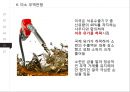 냉전 시대의 미국과 소련의 무역전쟁 (냉전 초기의 갈등 심화, 투르먼 독트린, NATO와 WTO, COCOM, 미소 무역전쟁, 냉전 시대의 종결).PPT자료 12페이지