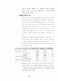 영국의 도시재생 사례 48페이지