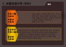 [SSI, SSDI] 보충보장소득, 사회보장장애보험, 국민기초생활보장제도 각각에 대한 분석 발표자료 8페이지
