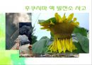 [NGO 시민단체 분석 - 녹색연합] 개념, 역할과 기능, NGO(시민단체) 녹색연합 주요사업, NGO(시민단체) 녹색연합 업무, 결론 등등 11페이지
