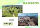 [NGO 시민단체 분석 - 녹색연합] 개념, 역할과 기능, NGO(시민단체) 녹색연합 주요사업, NGO(시민단체) 녹색연합 업무, 결론 등등 13페이지