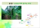[NGO 시민단체 분석 - 녹색연합] 개념, 역할과 기능, NGO(시민단체) 녹색연합 주요사업, NGO(시민단체) 녹색연합 업무, 결론 등등 15페이지
