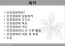 [인권영화제 발표] 인권영화제 개념, 인권영화제 설립목적, 인권영화제 조직도,  목표, 인권영화제 역사,  활동, 인권영화제 재정 등등 2페이지