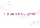 [유전병의 이해] 유전병의 의미, 유전병의 원인, 유전병의 특징, 유전병의 과학적 분석 및 유전병의 치료방안 15페이지