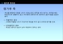 [캥거루족] 캥거루족의 정의, 캥거루족 특징, 캥거루족 원인, 캥거루족 문제점, 캥거루족 해결방안 4페이지
