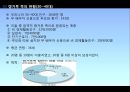 [캥거루족] 캥거루족의 정의, 캥거루족 특징, 캥거루족 원인, 캥거루족 문제점, 캥거루족 해결방안 7페이지