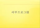 [프로포절] 독거노인 여가 활동 증진을 위한 프로포절 (사업명-신 토 불 이) 18페이지