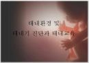 [태내기] 태내 환경, 태내기 진단(유전상담, 초음파, 융모, 양수검사등), 태내기 교육(전통, 현대적), 태내기에 대한 견해 1페이지