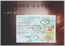[태내기] 태내 환경, 태내기 진단(유전상담, 초음파, 융모, 양수검사등), 태내기 교육(전통, 현대적), 태내기에 대한 견해 4페이지