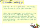 국민연금 사각지대에 대한 이해와 국민연금 개정방안 및 나아갈 방향 제언 13페이지