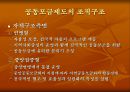대구 사회복지공동모금회 분석과 사업 내용 및 나아갈 방향 14페이지