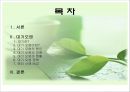 대기오염의 현황, 원인, 피해, 대기오염 정책, 해외의 사례, 개선방향 제언 2페이지
