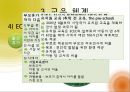 선진국 핀란드의 유아교육 특징과 유아교육 행정 및 시사점 9페이지