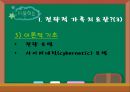 전략적 가족치료의 치료목표와 사정과 개입 및 Haley와 밀란 치료기법.PPT자료 4페이지