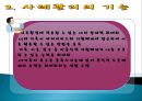 사례관리 (개념, 등장배경, 원칙, 구성요소, 모형, 역할, 사정).ppt 7페이지