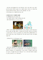 지방자치단체 중심의 여가정책 집행 & 특수 계층에 대한 지원과 정책 [대구지방단체] 12페이지
