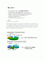 군대 인권 - 면제받지 못한 자 -  4페이지