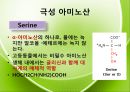아미노산의 종류를 극성과 비극성으로 분류하여 정리 Amino-acid polar/non polar.pptx 8페이지