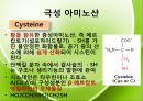 아미노산의 종류를 극성과 비극성으로 분류하여 정리 Amino-acid polar/non polar.pptx 10페이지