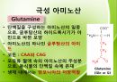 아미노산의 종류를 극성과 비극성으로 분류하여 정리 Amino-acid polar/non polar.pptx 12페이지