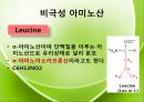 아미노산의 종류를 극성과 비극성으로 분류하여 정리 Amino-acid polar/non polar.pptx 16페이지