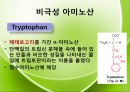 아미노산의 종류를 극성과 비극성으로 분류하여 정리 Amino-acid polar/non polar.pptx 17페이지