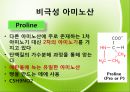 아미노산의 종류를 극성과 비극성으로 분류하여 정리 Amino-acid polar/non polar.pptx 18페이지