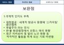 아시아나항공 서비스마케팅 성공사례분석및 아시아나항공 보완점및 지향점제안 26페이지