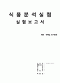 [식품 분석 실험보고서] 단백질 전기영동 1페이지