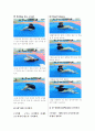 필라테스트레이닝 - MAT2 복부단련 10가지 동작 분석 5페이지