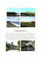제주도 답사 (국내 자원답사,제주도,제주도 답사,제주도여행,제주도 관광지,제주도 관광,관광,관광자원,관광자원답사) 5페이지