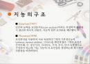지능과 지각의 내부적, 외부적, 상황적 요인과 구조.pptx 28페이지