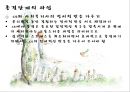 가족대상실천기법(보웬,세대간가족치, 미누친,구조적가족치료, 사티어, 경험적가족치료) PPT 파워포인트 39페이지