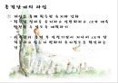 가족대상실천기법(보웬,세대간가족치, 미누친,구조적가족치료, 사티어, 경험적가족치료) PPT 파워포인트 40페이지