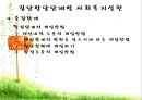 집단발달단계 (사회복지실천기술론, 양서원) 이론요약.PPT자료 27페이지