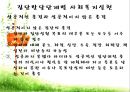 집단발달단계 (사회복지실천기술론, 양서원) 이론요약.PPT자료 32페이지