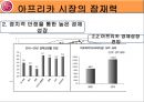 국제경영학] LG 아프리카 시장 진출 17페이지